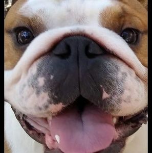 Meet your Posher, Anna carol